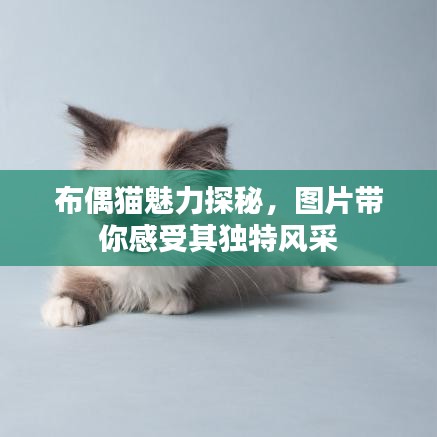 長命富貴 第3頁
