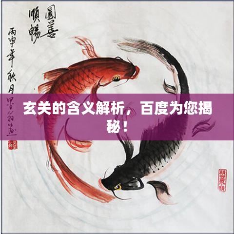 玄關(guān)的含義解析，百度為您揭秘！
