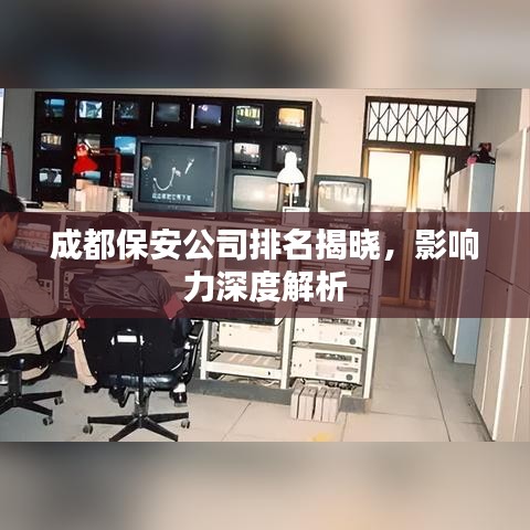成都保安公司排名揭曉，影響力深度解析
