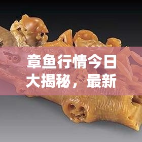 章魚行情今日大揭秘，最新消息視頻全解析