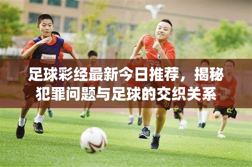 足球彩經(jīng)最新今日推薦，揭秘犯罪問(wèn)題與足球的交織關(guān)系