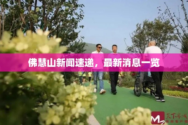 佛慧山新聞速遞，最新消息一覽