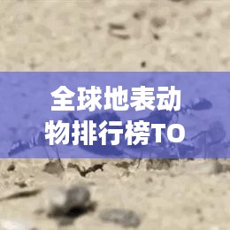 全球地表動物排行榜TOP10，震撼榜單揭曉！