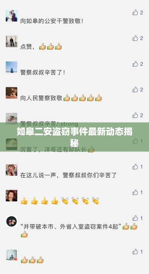 如皋二安盜竊事件最新動態(tài)揭秘