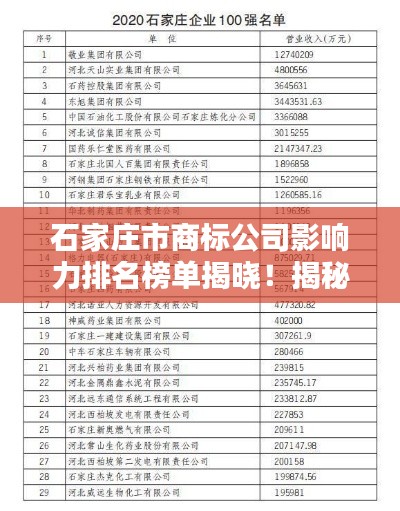 石家莊市商標(biāo)公司影響力排名榜單揭曉！揭秘行業(yè)巨頭及其影響力分析