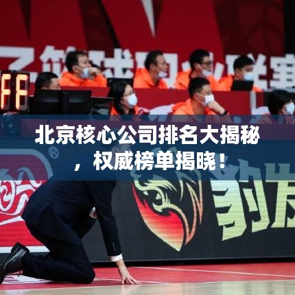 北京核心公司排名大揭秘，權(quán)威榜單揭曉！
