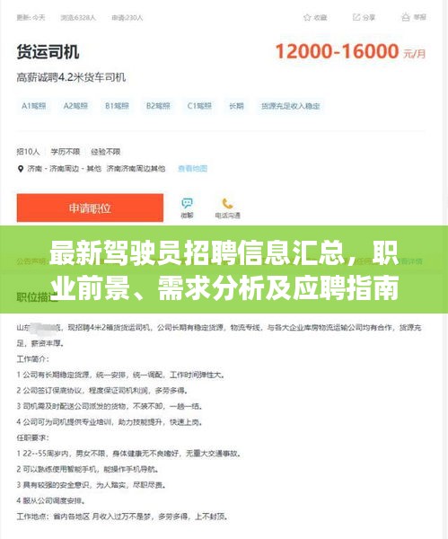 最新駕駛員招聘信息匯總，職業(yè)前景、需求分析及應聘指南一網(wǎng)打盡