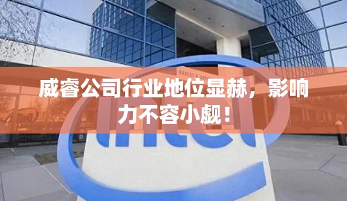 威睿公司行業(yè)地位顯赫，影響力不容小覷！