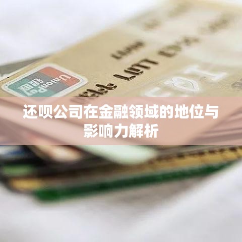還唄公司在金融領(lǐng)域的地位與影響力解析