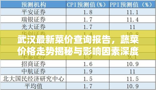 武漢最新菜價查詢報告，蔬菜價格走勢揭秘與影響因素深度解析