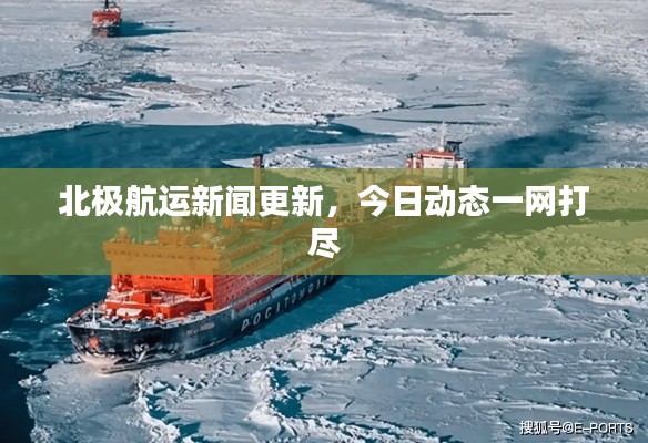 北極航運新聞更新，今日動態(tài)一網(wǎng)打盡