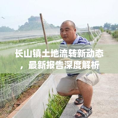 長(zhǎng)山鎮(zhèn)土地流轉(zhuǎn)新動(dòng)態(tài)，最新報(bào)告深度解析