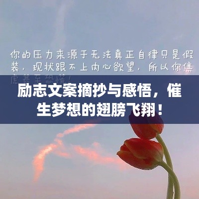 勵(lì)志文案摘抄與感悟，催生夢(mèng)想的翅膀飛翔！