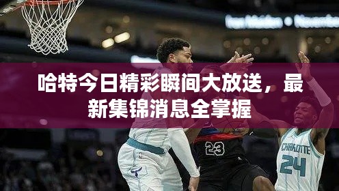 哈特今日精彩瞬間大放送，最新集錦消息全掌握