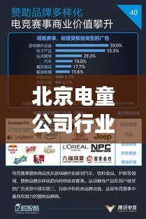 北京電童公司行業(yè)地位及影響力解析，深度解讀排名背后的實力與成就