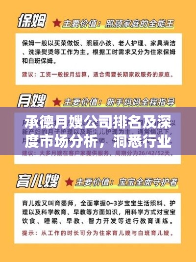 承德月嫂公司排名及深度市場分析，洞悉行業(yè)趨勢，為您優(yōu)選育兒專家！