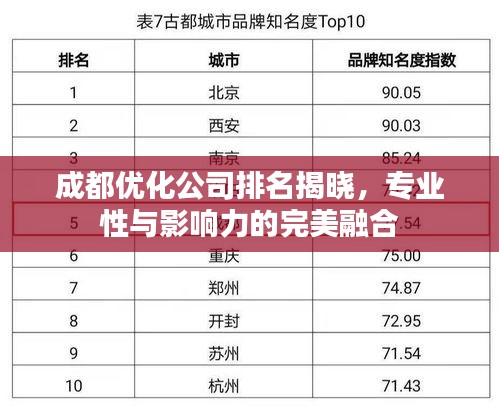 成都優(yōu)化公司排名揭曉，專(zhuān)業(yè)性與影響力的完美融合