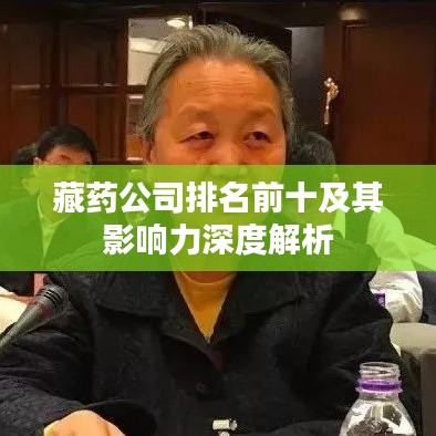藏藥公司排名前十及其影響力深度解析