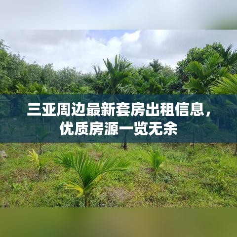 三亞周邊最新套房出租信息，優(yōu)質(zhì)房源一覽無余