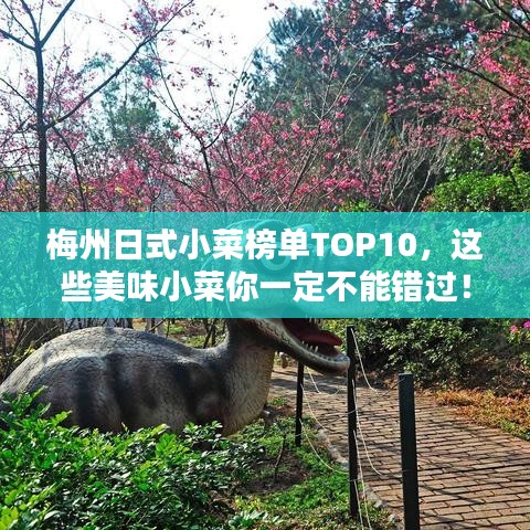 梅州日式小菜榜單TOP10，這些美味小菜你一定不能錯過！