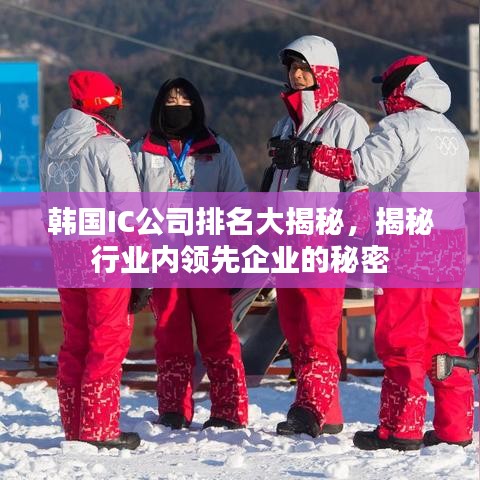 韓國IC公司排名大揭秘，揭秘行業(yè)內(nèi)領(lǐng)先企業(yè)的秘密