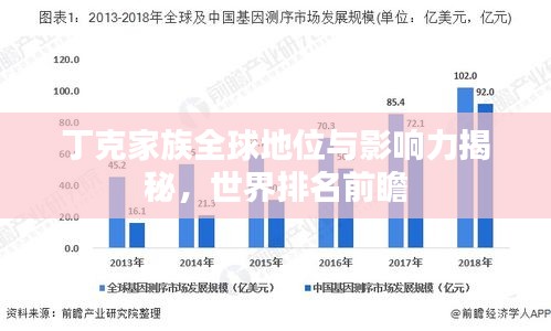 丁克家族全球地位與影響力揭秘，世界排名前瞻