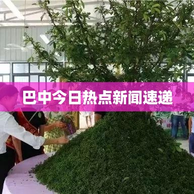 巴中今日熱點(diǎn)新聞速遞