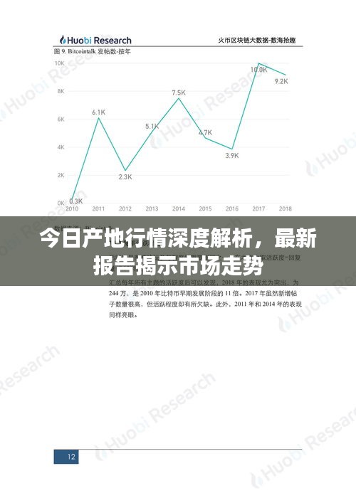 今日產(chǎn)地行情深度解析，最新報告揭示市場走勢