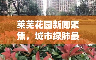 萊蕪花園新聞聚焦，城市綠肺最新動(dòng)態(tài)報(bào)道