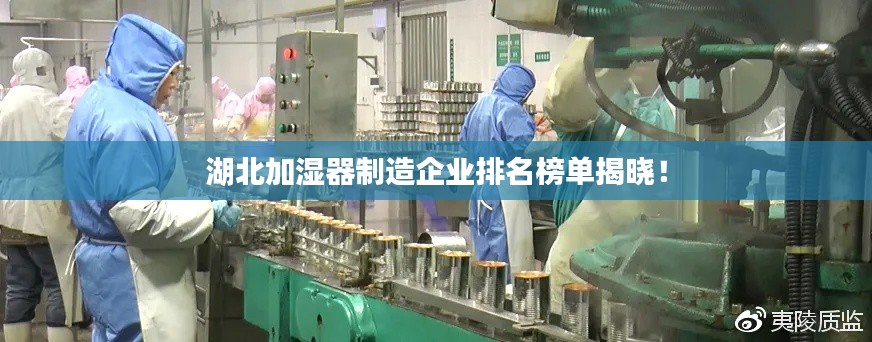 湖北加濕器制造企業(yè)排名榜單揭曉！