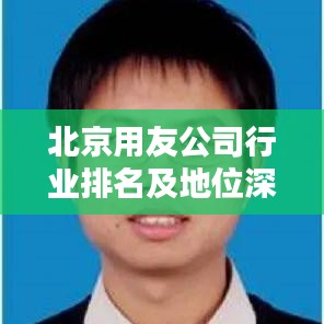 北京用友公司行業(yè)排名及地位深度解析
