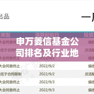 申萬菱信基金公司排名及行業(yè)地位與業(yè)績深度解析