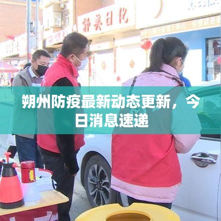 朔州防疫最新動態(tài)更新，今日消息速遞