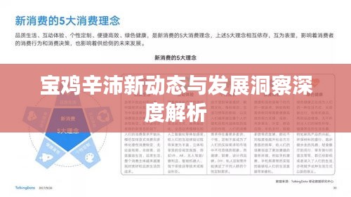 寶雞辛沛新動(dòng)態(tài)與發(fā)展洞察深度解析