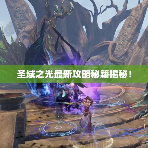 圣域之光最新攻略秘籍揭秘！