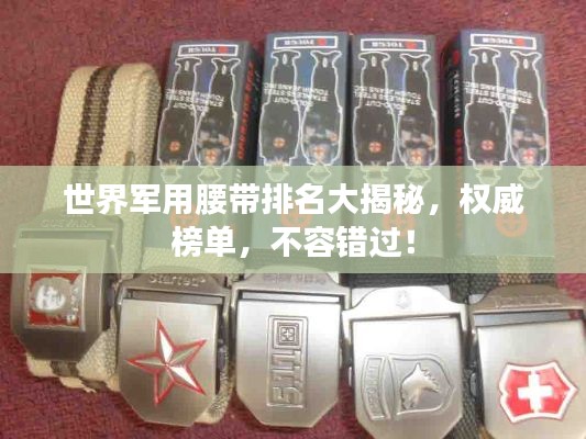 世界軍用腰帶排名大揭秘，權(quán)威榜單，不容錯(cuò)過！