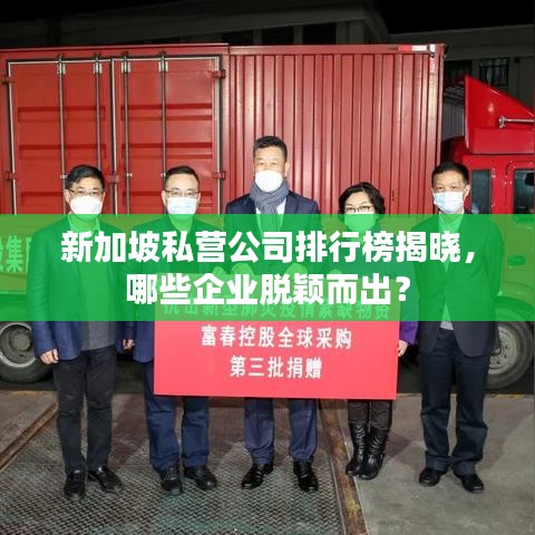 新加坡私營公司排行榜揭曉，哪些企業(yè)脫穎而出？