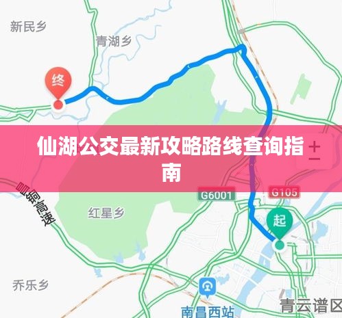 仙湖公交最新攻略路線查詢指南