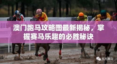 澳門跑馬攻略圖最新揭秘，掌握賽馬樂趣的必勝秘訣