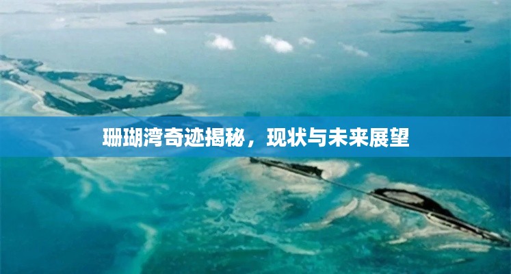 珊瑚灣奇跡揭秘，現(xiàn)狀與未來展望