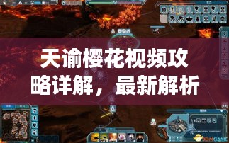 天諭櫻花視頻攻略詳解，最新解析與指南