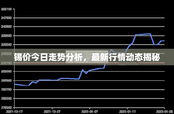 錫價(jià)今日走勢(shì)分析，最新行情動(dòng)態(tài)揭秘