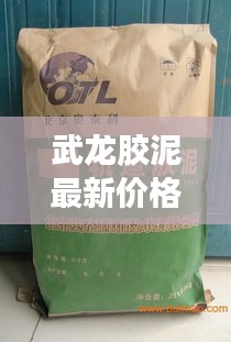 武龍膠泥最新價格大揭秘！