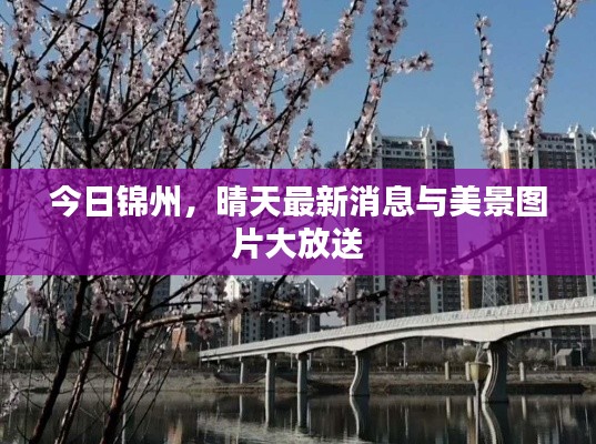 今日錦州，晴天最新消息與美景圖片大放送