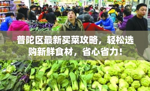 普陀區(qū)最新買(mǎi)菜攻略，輕松選購(gòu)新鮮食材，省心省力！