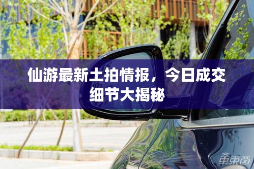 仙游最新土拍情報，今日成交細節(jié)大揭秘