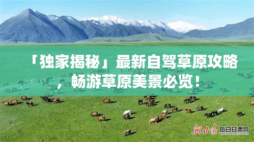 「獨家揭秘」最新自駕草原攻略，暢游草原美景必覽！