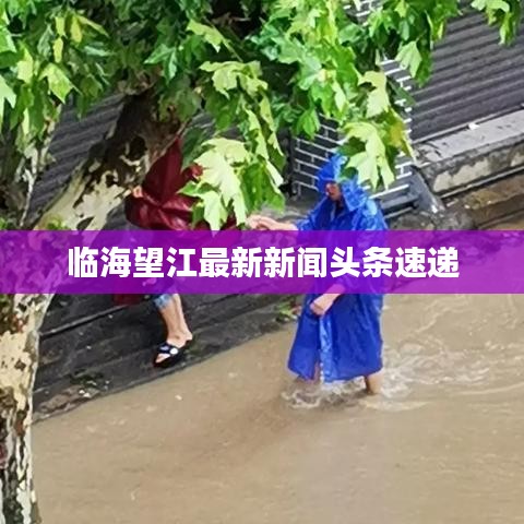 臨海望江最新新聞頭條速遞