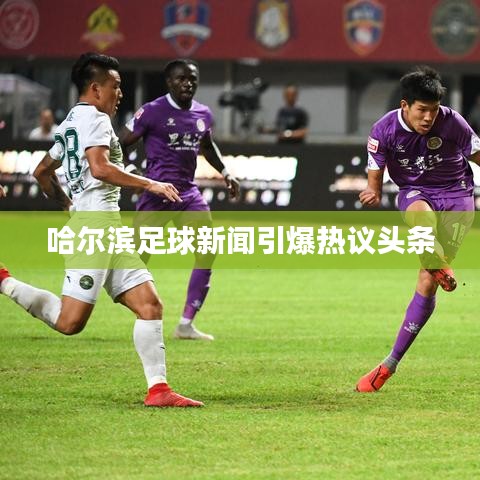 哈爾濱足球新聞引爆熱議頭條