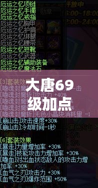 大唐69級(jí)加點(diǎn)秘籍，最新攻略助你輕松升級(jí)！